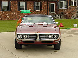 Firebird 007.jpg