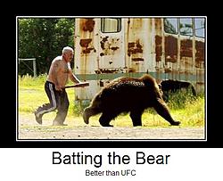 bear demotivational 2.jpg