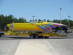 YELLOWCAT 003 (Small).jpg