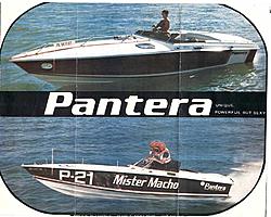 # 1 Pantera brochure in 1975.jpg