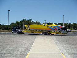 YELLOWCAT 002 (Small).jpg