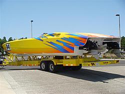 YELLOWCAT 004 (Small).jpg