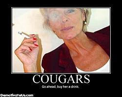cougar-ad.jpg