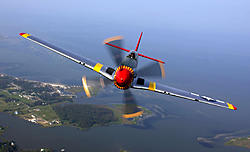 800px-P-51_Mustang_edit1.jpg