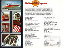 Magnum Maltese 1.jpg