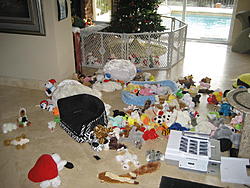 christmas 2008 054.jpg