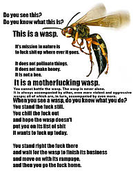 Wasps+Are+scary.jpg