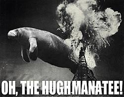 hughmanatee2bx.jpg