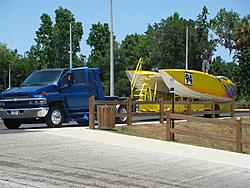 YELLOWCAT 001 (Small).jpg