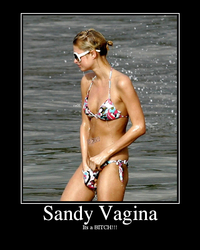 SandyVagina.png