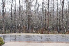 snow 011.jpg