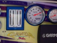 speedo.JPG