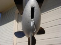 Pictures 099 (Medium).jpg