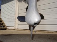 Pictures 098 (Medium).jpg