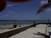 tnseawall.jpg