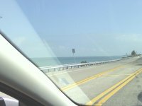 IMG_20130214_105242.jpg