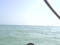 Beachness 013.jpg