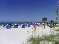 IMG_20130929_123213_142.jpg