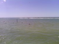 IMG_20130929_141108_768.jpg