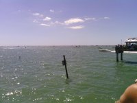 IMG_20130929_143119_354.jpg
