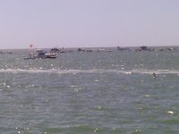 IMG_20130929_143906_988.jpg