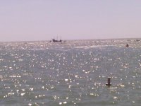 IMG_20130929_143832_207.jpg