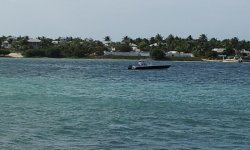 20131106_140956.jpg