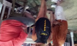 20131108_180347.jpg