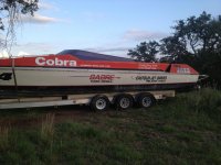 photo 1cobra2.jpg