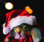 Christmas Bobcats First.gif