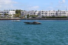 IMG_0037.JPG