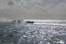 IMG_0261.JPG