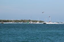 IMG_0428.JPG