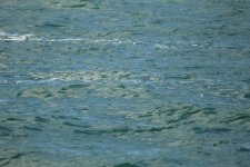 IMG_0456.JPG