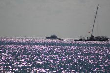 IMG_0461.JPG