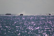 IMG_0463.JPG