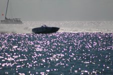 IMG_0471.JPG