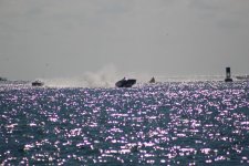 IMG_0477.JPG