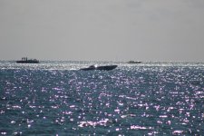 IMG_0488.JPG
