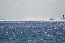 IMG_0512.JPG