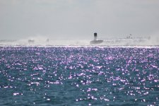 IMG_0515.JPG