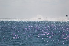 IMG_0517.JPG