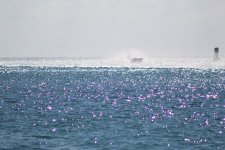 IMG_0518.JPG