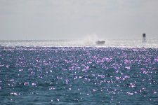 IMG_0519.JPG