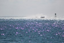 IMG_0520.JPG