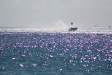 IMG_0522.JPG