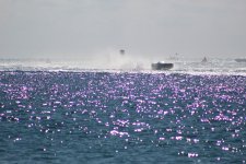 IMG_0523.JPG