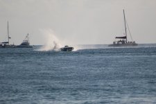 IMG_0696.JPG