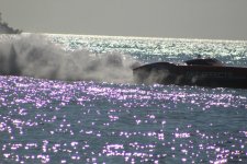 IMG_0767.JPG