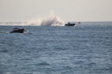 IMG_0854.JPG